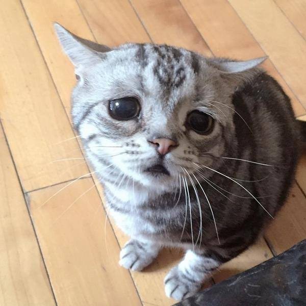 청소/정리 꿀팁 공유 많이 아시는분..? - Image 1