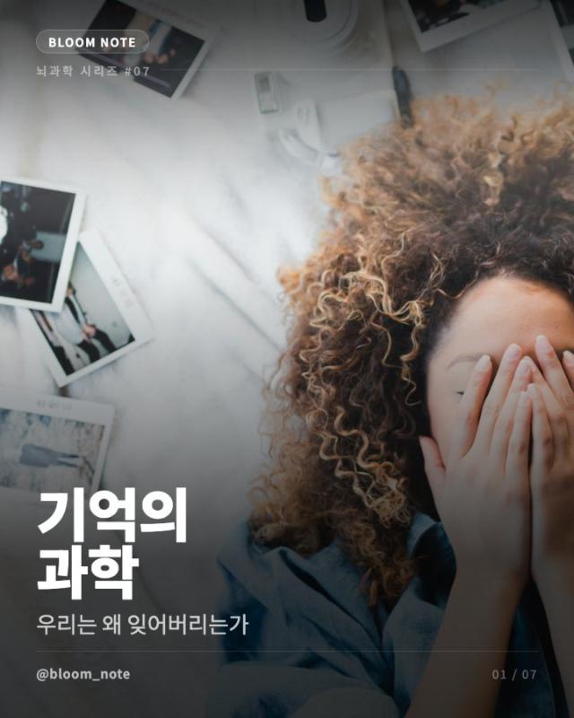 잊고 산다는 것은 살아있다는 뜻입니다. - Image 1