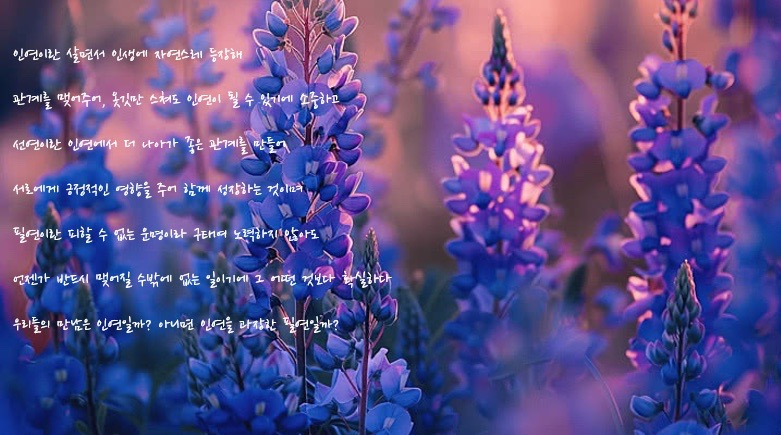 인과율 - Image 1