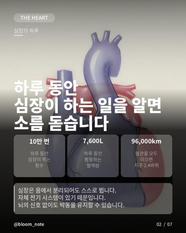 신비하고 완벽한 우리 몸의 능력 - Image 2