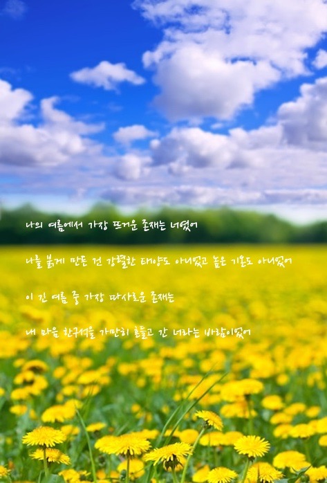 여름 - Image 1