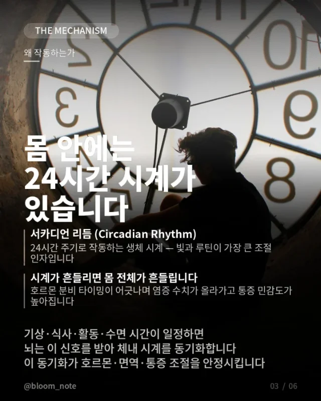 규칙적인 행동하나로 내 건강을 지킬 수 있어요 - Image 3