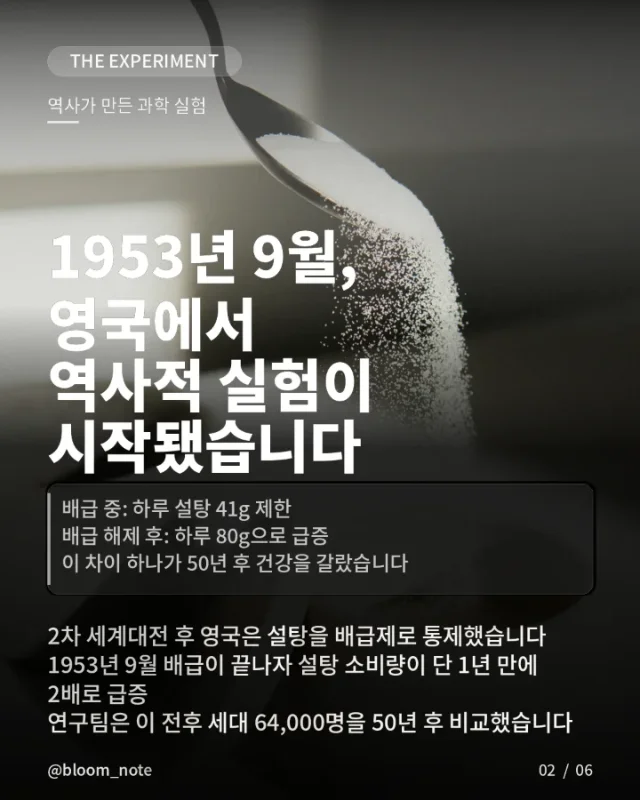 노후 건강을 결정짓는 생후 1000일 - Image 2